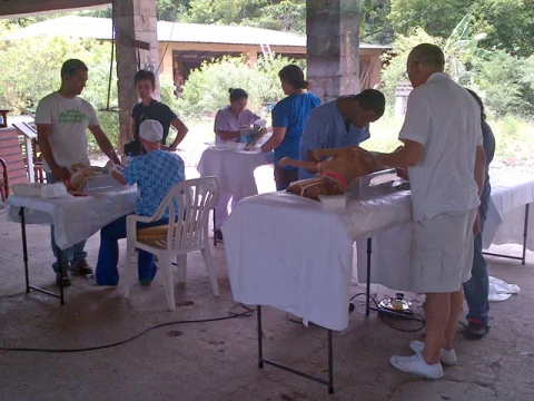 Animal surgery at Rescatame