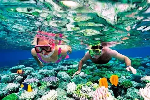 Snorkeling in crystal clear waters