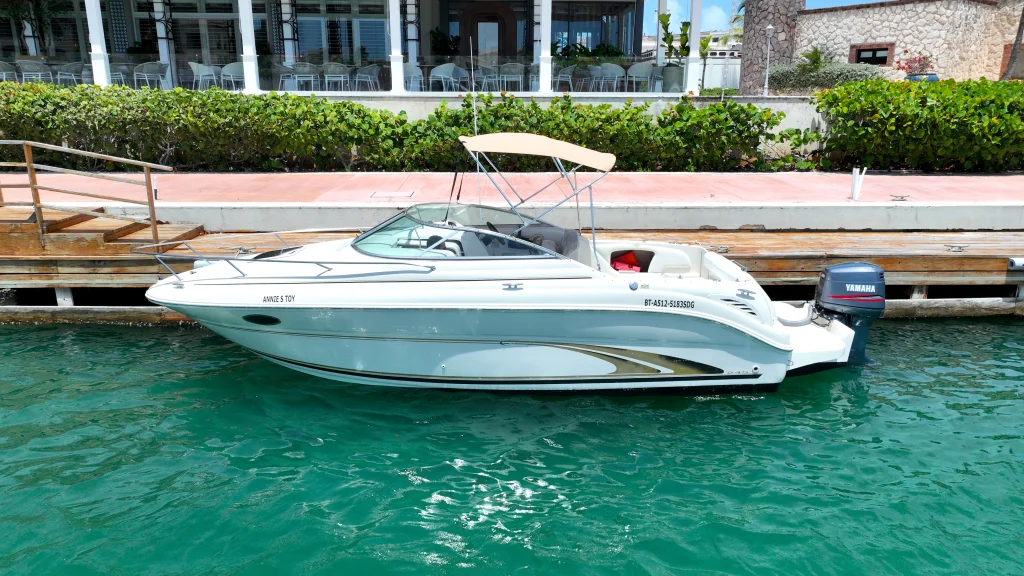 Searay 25ft Private Yacht Charter
